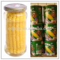 Fresh kernel corn canned in jar